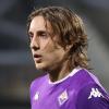 Il Parma in forte pressing su Jacopo Fazzini della Fiorentina