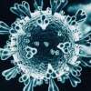 Aggiornamento Coronavirus: +234 casi a Parma, un decesso