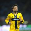 Due ex Parma per il Modena: Pecchia e Galloppa tra i preferiti dei canarini