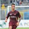 Immagine news 53