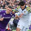 Gli highlights di oggi - Quotidiani e tifosi su Fiorentina-Parma. Parla Pellegrino
