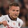 Il Bologna ritrova Immobile ma potrebbe perdere Holm: Italiano sorride a metà