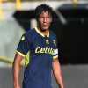 Classifica dei più vecchi a tornare in Serie A: presenti anche gli ex Parma Bruno Alves e Danilevicius
