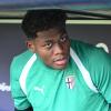 Da Trento anche segnali per il mercato: Suzuki unico crociato senza minuti