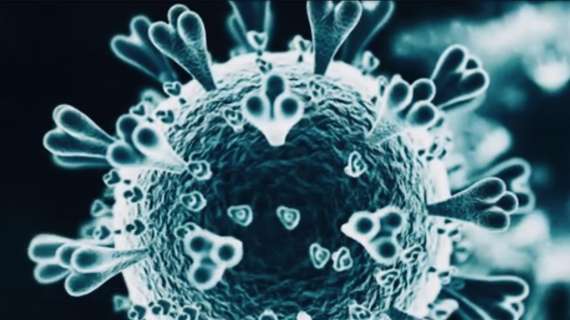 Aggiornamento Coronavirus: salgono i contagi a Parma, +88 casi e un decesso