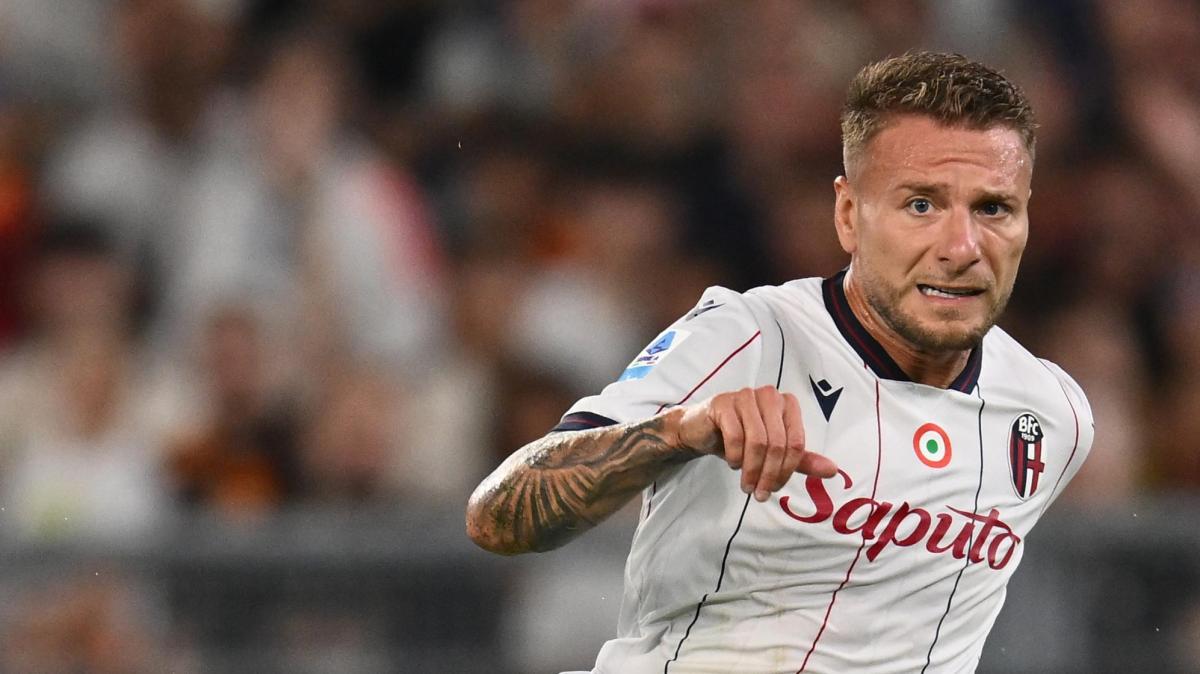 Bologna, Immobile salta Parma. Niccolini: "Non sappiamo i tempi precisi per rivederlo in campo"