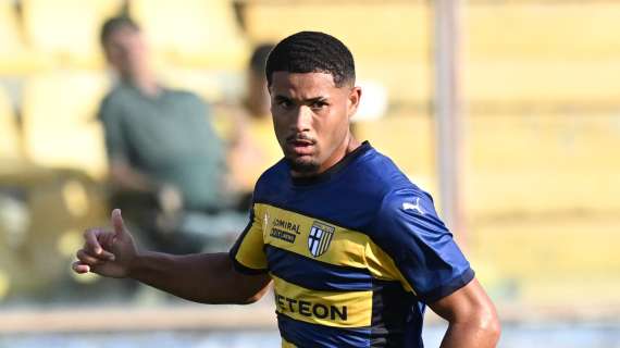 Le prime parole di Sohm alla Fiorentina: “Step di crescita. Obiettivo Champions League”