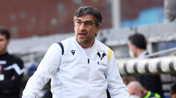 Verona, Juric: "Costi di gestione? Noi non potremo mai essere Parma o Bologna"