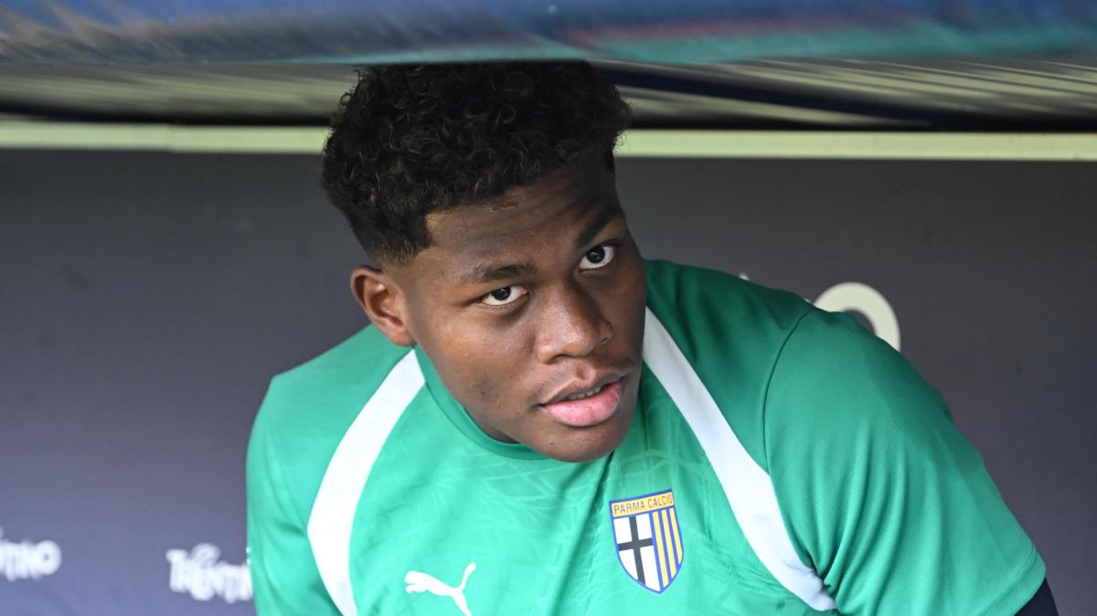 Da Trento anche segnali per il mercato: Suzuki unico crociato senza minuti