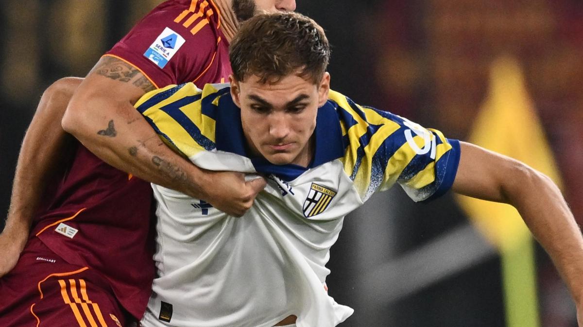 Pellegrino esulta sui social: "Punto importante"