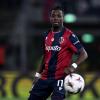 Bologna, Rowe torna ad allenarsi in gruppo: le ultime
