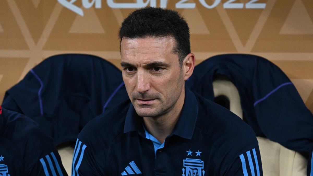 Argentina, Scaloni: "Julian Alvarez? Può giocare in coppia. E su Messi e Nico Paz..."