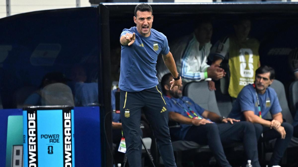 Lionel Scaloni, Argentina