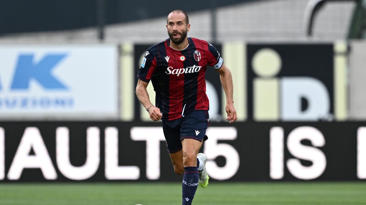 De Silvestri, Bologna 