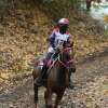 Nell'endurance equestre Laliscia e Tavassoli chiudono il 2021 con piena soddisfazione