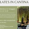 Torna il pilates tra i filari: il 17 maggio con Agnese Belardi alla Cantina Carini di Colle Umberto 