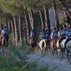 L'endurance equestre protagonista a Castiglione del Lago il 21 giugno con ben 70 binomi in gara