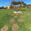Al Barton Park di Perugia un fine settimana di sensibilizzazione sul diabete 1