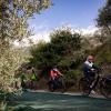 Domenica 19 ottobre c'è “La Grande Pedalata lungo la Fascia olivata Assisi-Spoleto” con partenza ed arrivo a Trevi