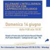 "Allenare l'intelligenza cestistica con un approccio ecologico": convegno sul basket a Castiglione del Lago