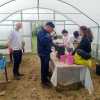 Gran bel progetto a Pila dell'Asd Viva insieme a Vivagri: inaugurate le serre della "Fattoria Il Bruco"