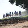Il 21 giugno a Castiglione del Lago c'è il FEI Endurance European Championship