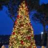 Con l' inizio di dicembre il Barton Park diventa il parco del Natale
