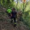 Tragedia nel bosco: muore a 74 anni schiacciato dalla caduta di quercia