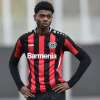 Al Perugia arriva dalla Bulgaria un nuovo attaccante già a disposizione di mister Baldini