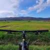 Questa domenica tutti in sella per scoprire in bici la ciclovia Trasimeno-Corciano