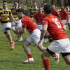 Incredibile pareggio del Rugby Perugia Junior in casa contro l'Arezzo