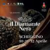 Venerdì 10 aprile si apre a Scheggino la XIX edizione di "Diamante Nero"