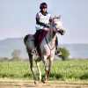 A Città di Castello torna protagonista l'endurance equestre: appuntamento dal 30 maggio e primo giugno