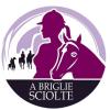 Stasera alle 20 su RGS Radio torna "A briglie sciolte" condotta da Catia Brozzi