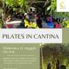 Domenica 11 maggio alla Cantina Carini di Colle Umbero la lezione di pilates di Agnese Belardi