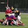 In serie B il Rugby Perugia in campo oggi a Viterbo contro l'Alto Lazio