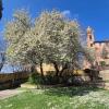 Sabato a Perugia in programma l'inaugurazione dei Giardini Adisu a Perugia