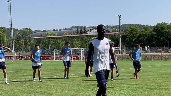 Domani c'è l'amichevole tra Perugia e Pineto: è un "anticipo" di campionato