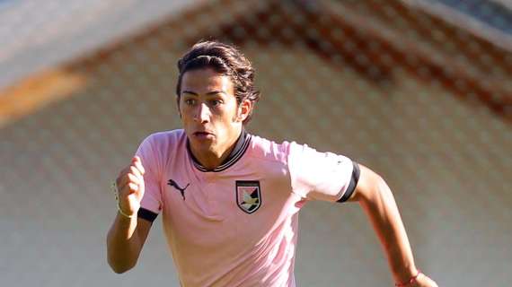 Giulio Sanseverino: l'esperienza di serie A per trascinare il Grifo in B!