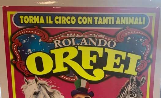 A Perugia contro la sindaca Vittoria Ferdinandi per ospitare il circo con animali vivi