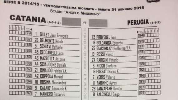 Catania-Perugia 2-0: finita la partita! Un Grifo che ci ha provato, ma siciliani più forti