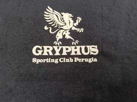 E' la domenica del debutto della società di nuoto Gryphus Club Master Perugia! Esordio agli assoluti regionali