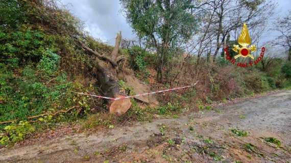 Proclamata allerta meteo in Umbria per stasera: codice giallo 