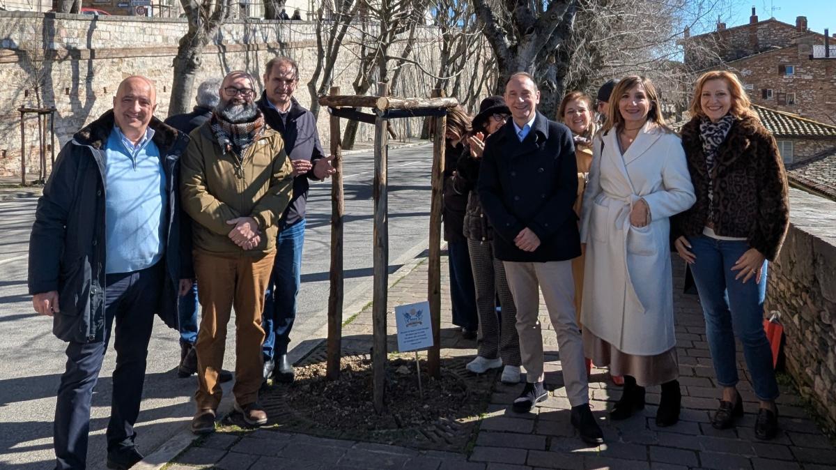 Rotary Club Perugia e l'impegno a favore della città: donati 14 alberi per il centro storico