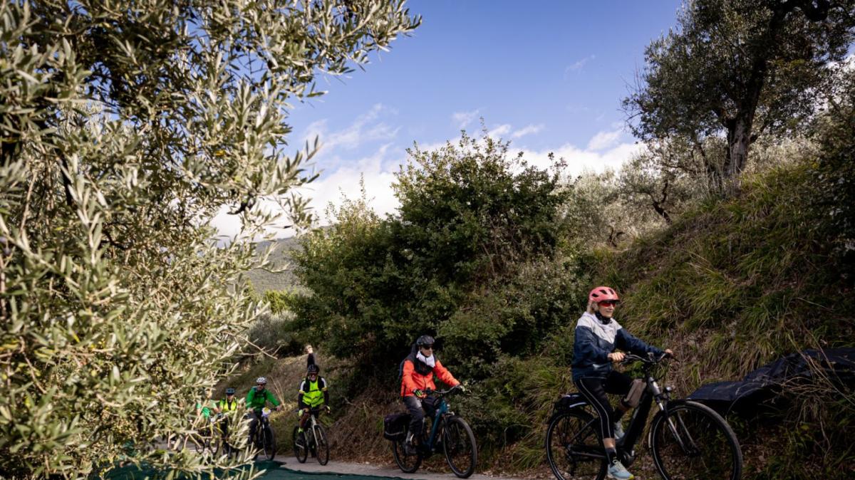 Domenica 19 ottobre c'è “La Grande Pedalata lungo la Fascia olivata Assisi-Spoleto” con partenza ed arrivo a Trevi