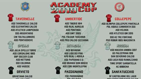 Questi i gironi dell'Academy Cup del Perugia: si giocherà da domani a sabato conq finale allo Stadio Curi