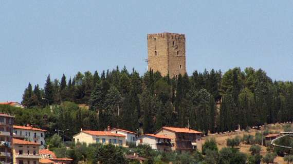 Vi siete mai chiesti che spettacolo sarebbe la Torre di Magione non nascosta dalle piante? E abbatterne alcune?