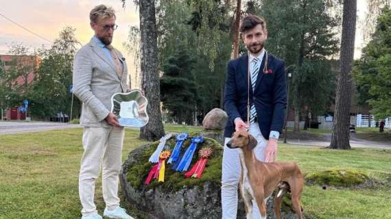 Lo sapevate che i levrieri più belli sono allevati in Umbria? La patria è Città di Castello