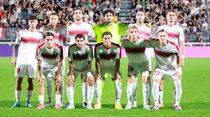 Clamoroso! Per il Rimini Calcio 11 punti di penalizzazione!
