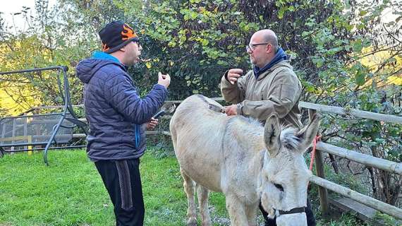 Con la Pet therapy benefici dell’asino su ragazzi e adulti con problemi cognitivi: esperienza a Perugia